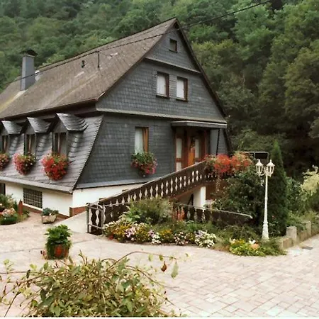 Muehle-maus * Sankt Goarshausen